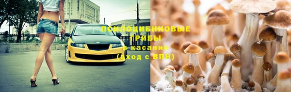 a pvp Зерноград