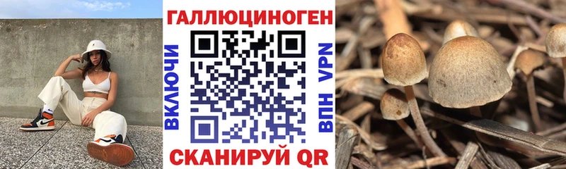 Псилоцибиновые грибы MAGIC MUSHROOMS  Клинцы 